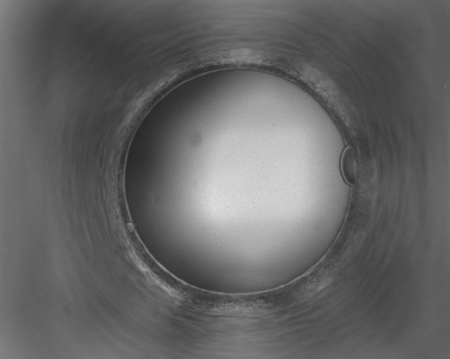 X0000084040625200702232326