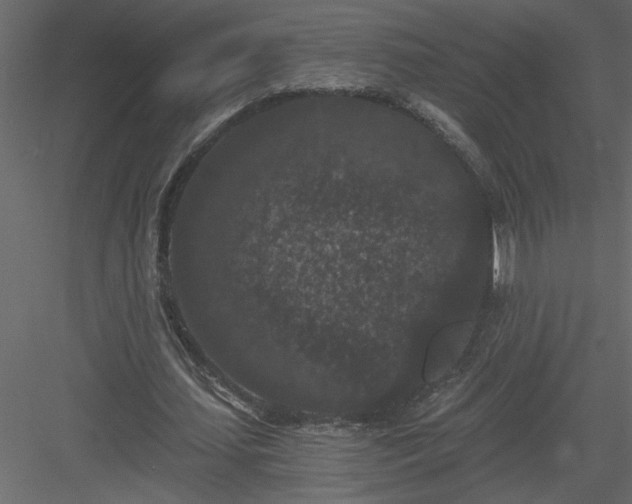 X0000084040627200702232326