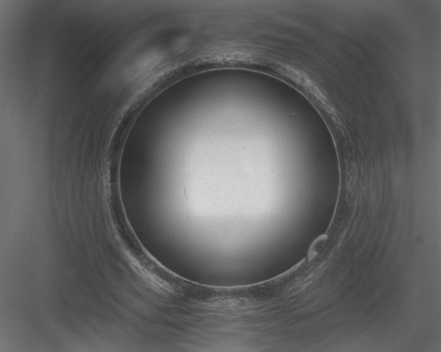 X0000084040629200702232326
