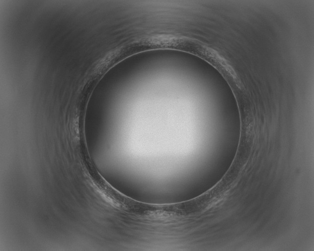 X0000084040633200702232326