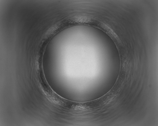 X0000084040635200702232326