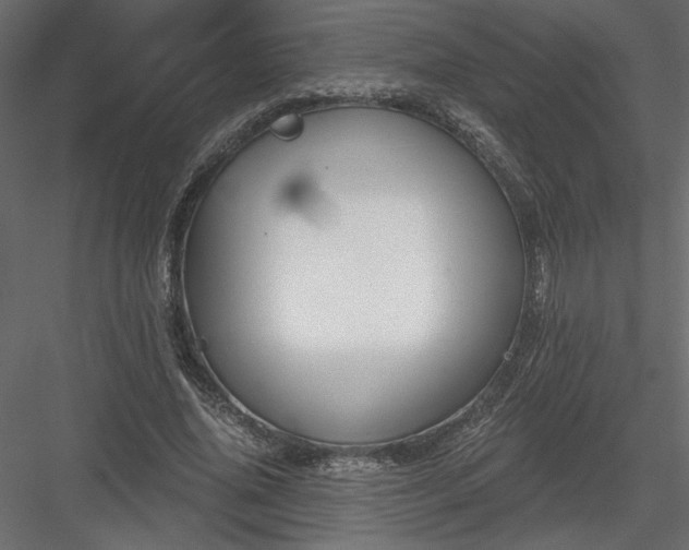 X0000084040636200702232326