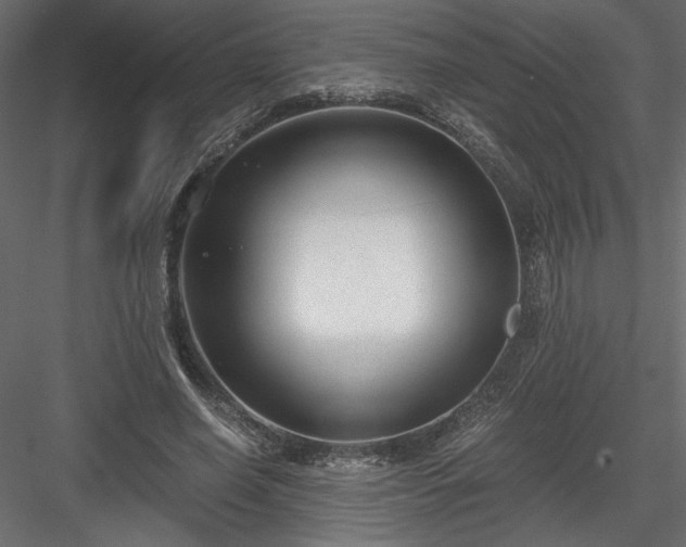 X0000084040638200702232326