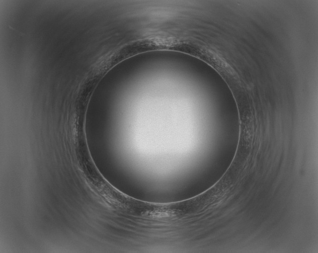 X0000084040639200702232326