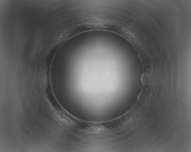 X0000084040642200702232326