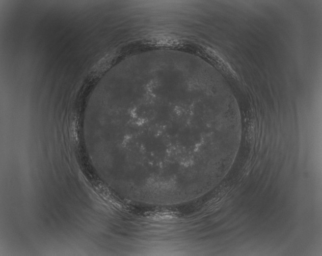X0000084040643200702232326