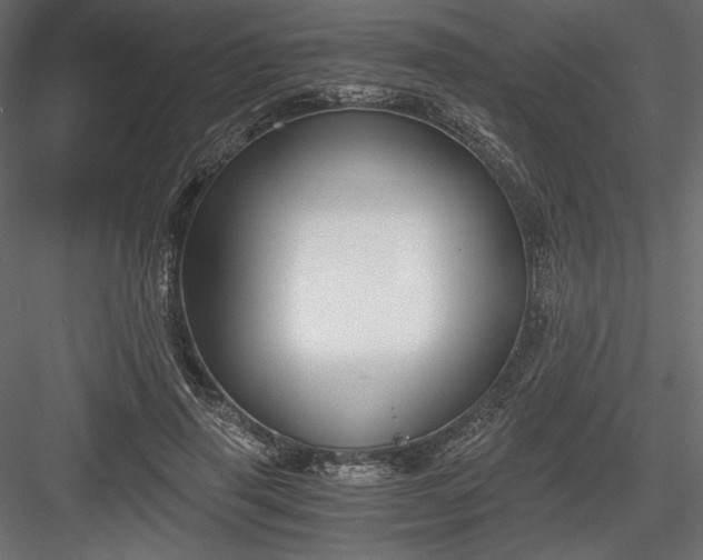 X0000084040645200702232326