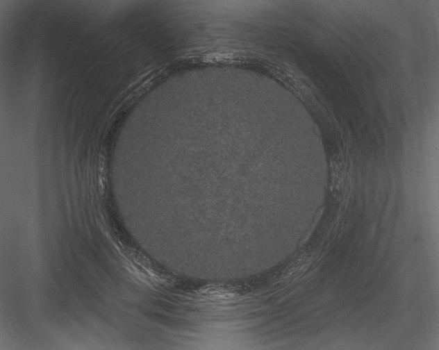 X0000084040648200702232326