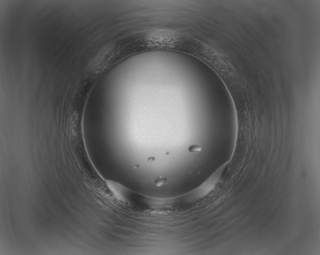 X0000084040649200702232326