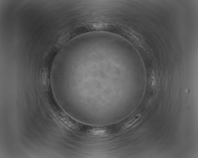 X0000084040651200702232326