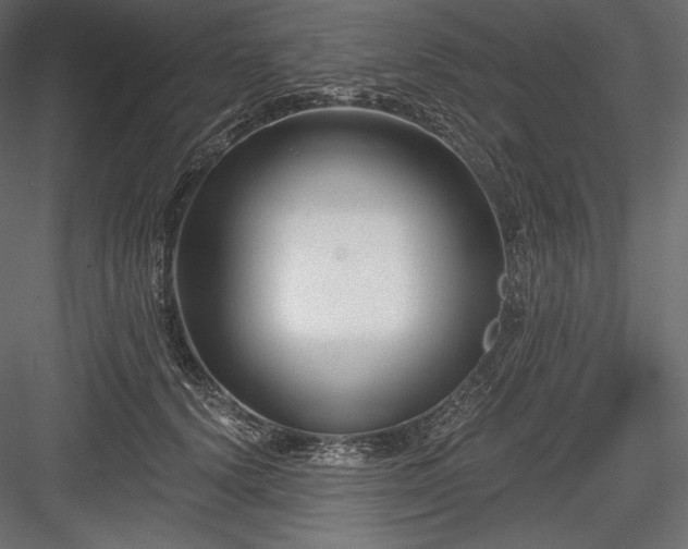 X0000084040656200702232326