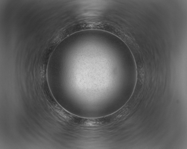 X0000084040657200702232326