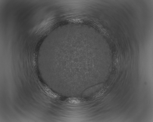 X0000084040658200702232326