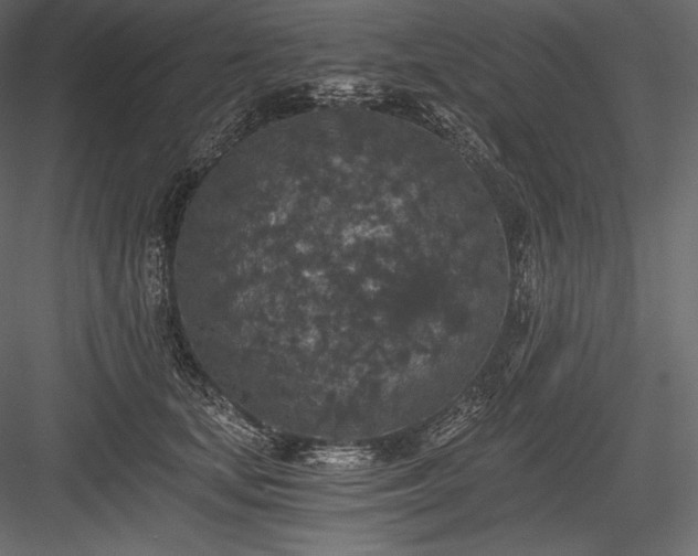 X0000084040659200702232326