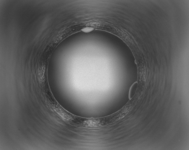X0000084040660200702232326