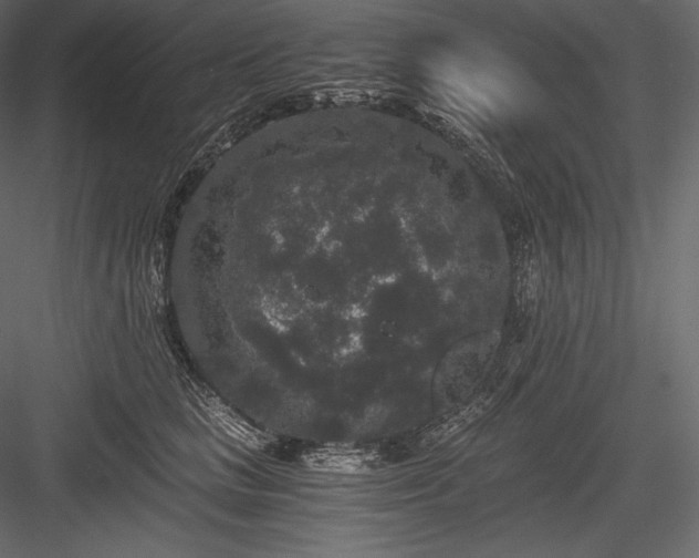 X0000084040661200702232326