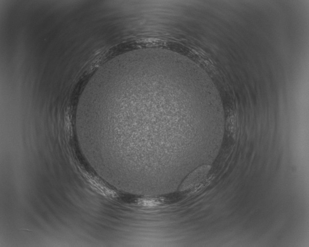 X0000084040662200702232326
