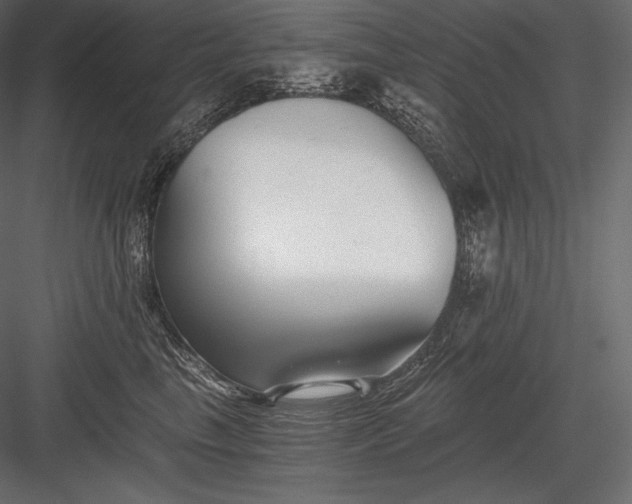 X0000084040665200702232326