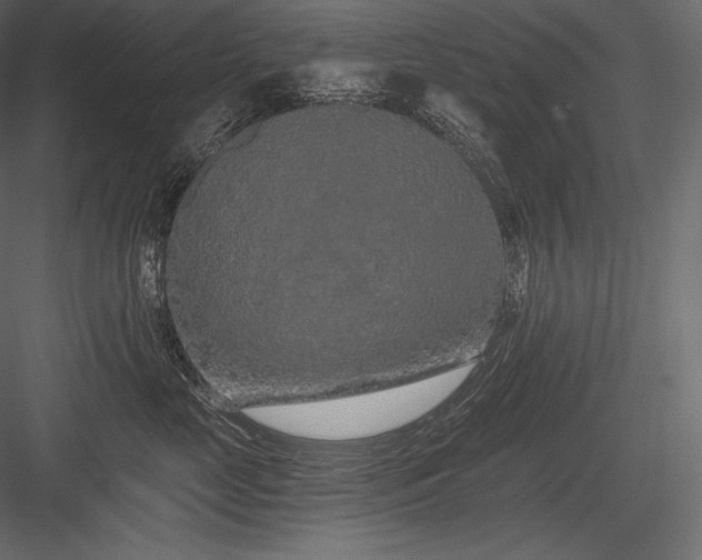 X0000084040669200702232326