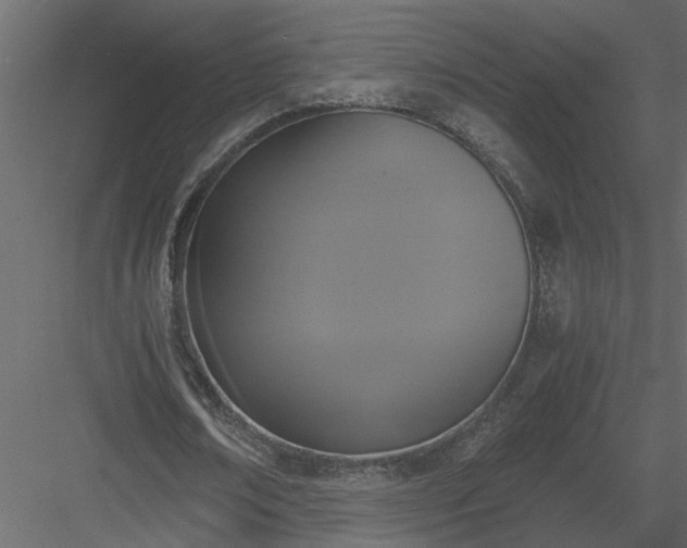 X0000084040674200702232325