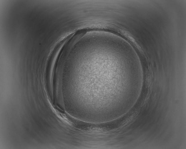 X0000084040677200702232325