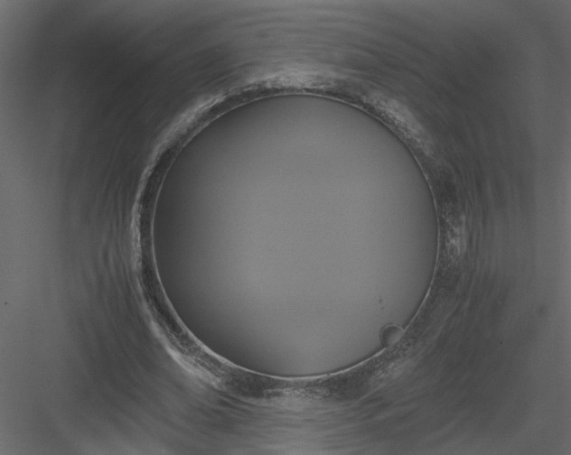 X0000084040678200702232325