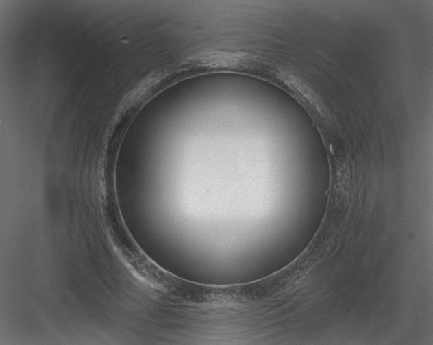 X0000084040682200702232325