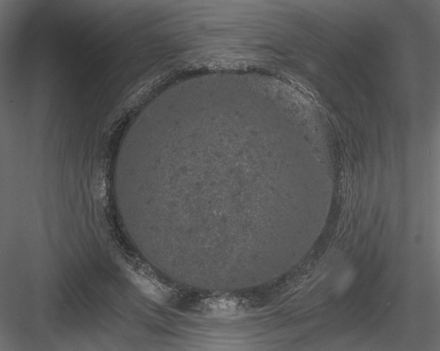 X0000084040687200702232325