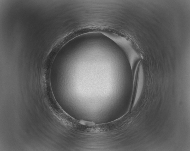 X0000084040688200702232325