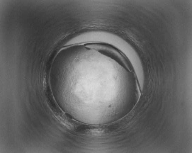 X0000084040692200702232325