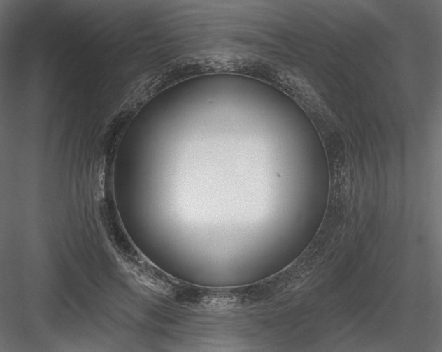 X0000084040694200702232325