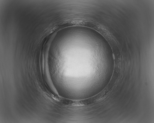 X0000084040696200702232325