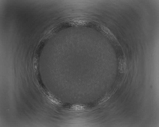 X0000084040701200702232325
