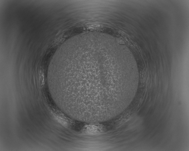 X0000084040703200702232325