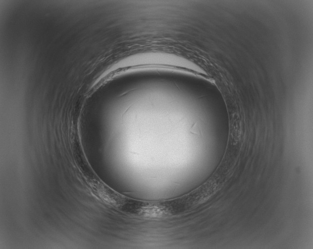 X0000084040704200702232325