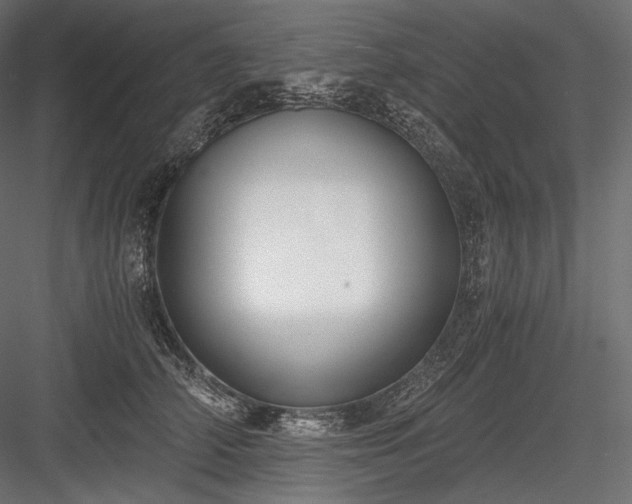 X0000084040706200702232325