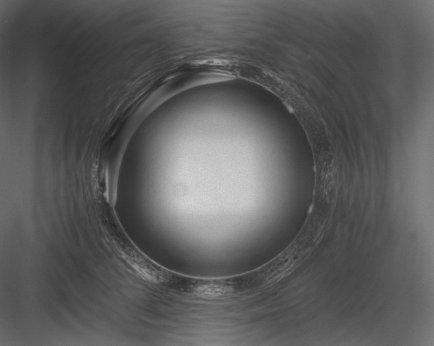 X0000084040708200702232325