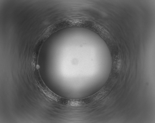 X0000084040710200702232325