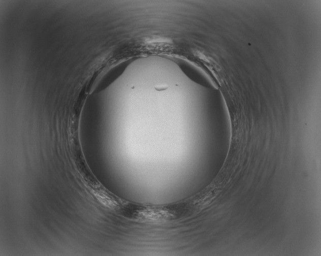 X0000084040712200702232325
