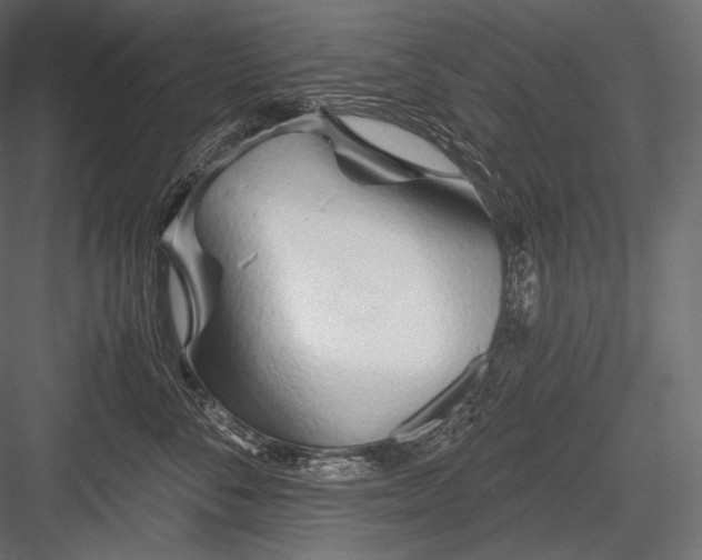 X0000084040716200702232325