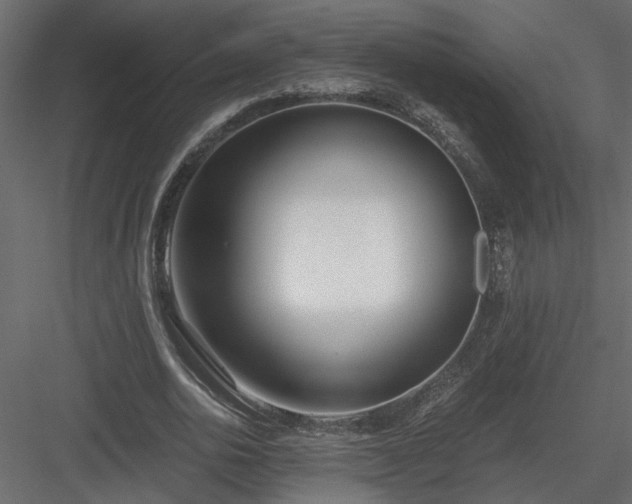 X0000084040726200702232324