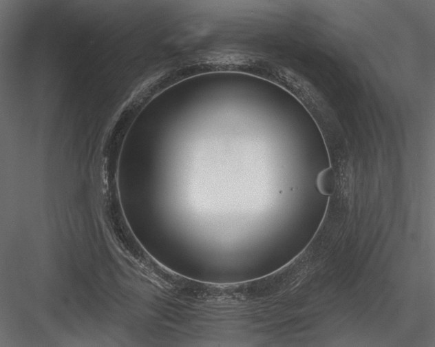 X0000084040731200702232324
