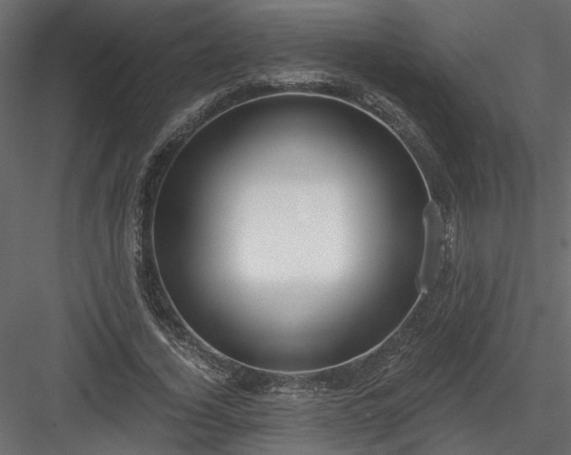 X0000084040732200702232324