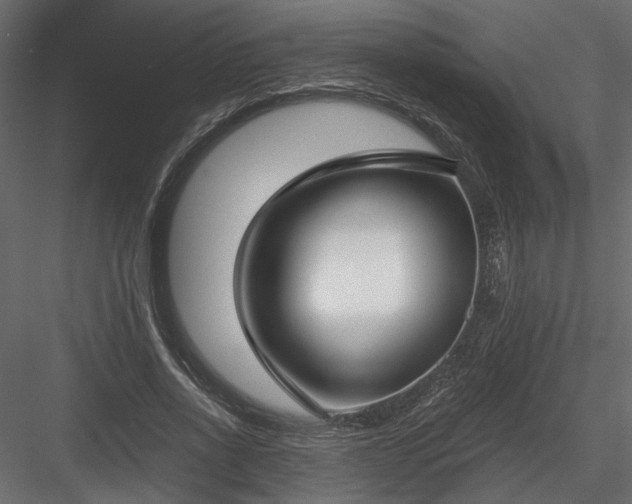 X0000084040734200702232324