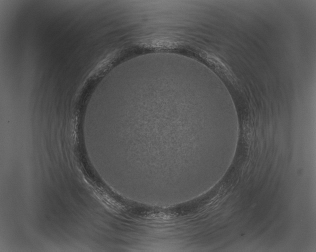 X0000084040735200702232324