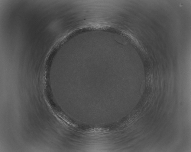 X0000084040736200702232324