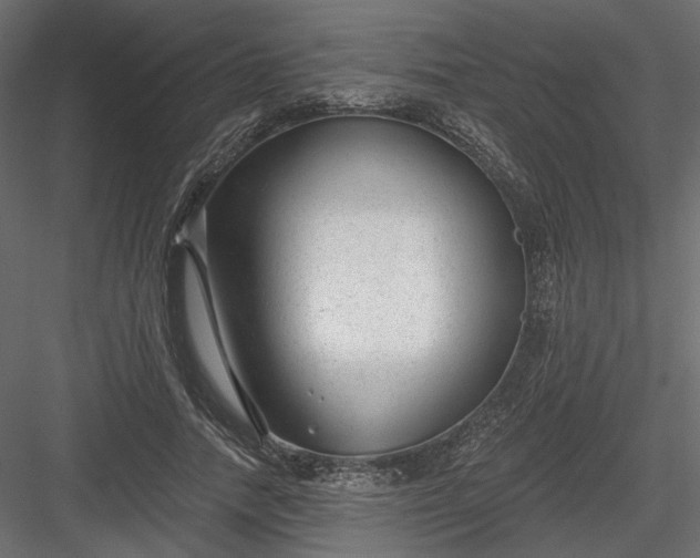 X0000084040738200702232324