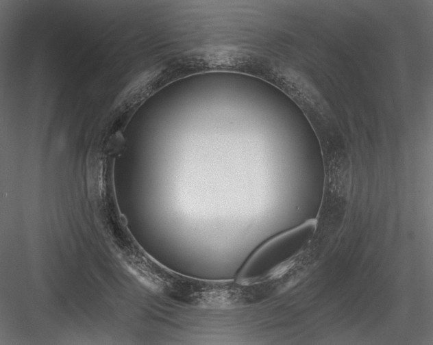 X0000084040740200702232324