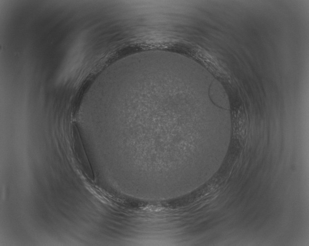 X0000084040742200702232324