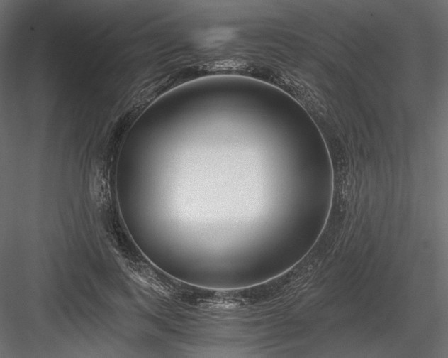 X0000084040743200702232324